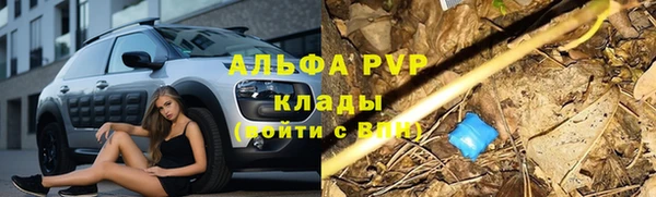 дурь Киреевск